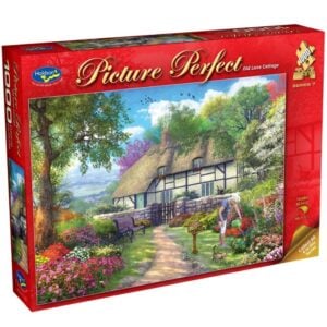 HOLDSON 1000 PIECE PICTURE PERFECT 7 OLDLANE