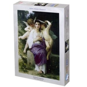 TOMAX 1000 PIECE THE HEART'S AWAKENING